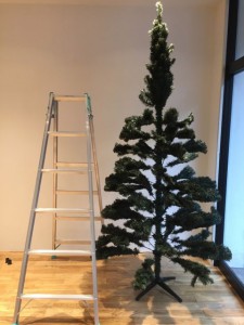 クリスマスツリーと脚立の比較