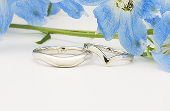 �����w�� ����