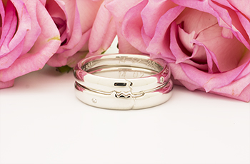 ���茋���w�� ���