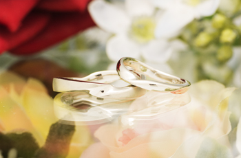 ���� �w��