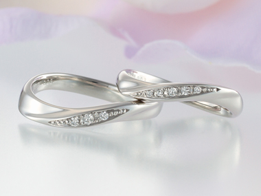 �����w�� ����