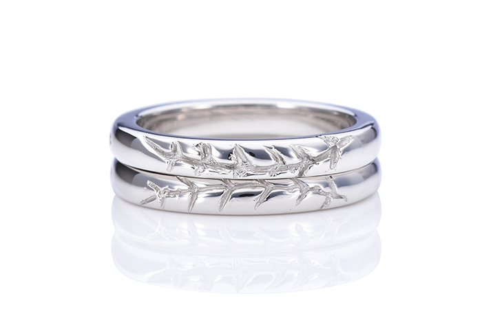 �����w�� ����