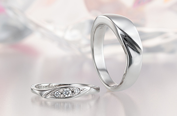 �����w�� ����